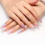 Press on nails 2043