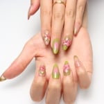 Press on nails 2066