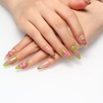Press on nails 2069