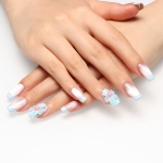 Press on nails 2089