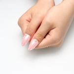 Press on nails 2113