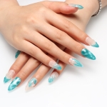Press on nails 2117