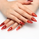 Press on nails 2210