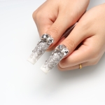 Press on nails 2273