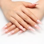 Press on nails 2311