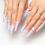 Press on nails 2314