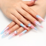 Press on nails 2317