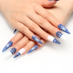 Press on nails 2386