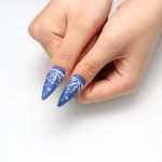 Press on nails 2387