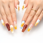 Press on nails 2411