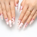 Press on nails 2426