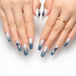 Press on nails 2431