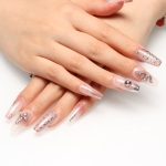 Press on nails 2492