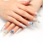Press on nails 2508