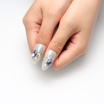 Press on nails 2509
