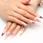 Press on nails 2524