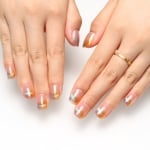 Press on nails 2544