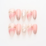 Press on nails 2673