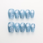 Press on nails 2761