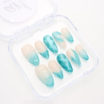 Press on nails 2984