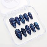 Press on nails 3017
