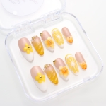 Press on nails 3027