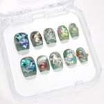 Press on nails 3217