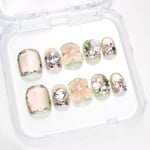 Press on nails 3219