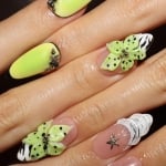 Press on nails 3895
